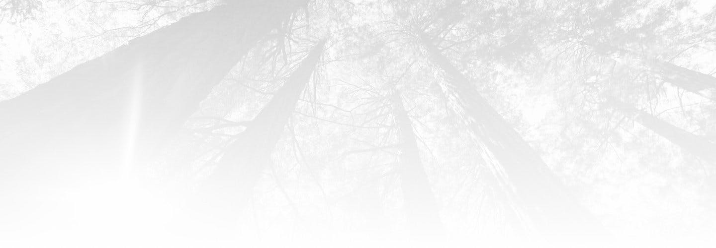 contact-bg